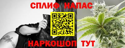 ешки Камышлов