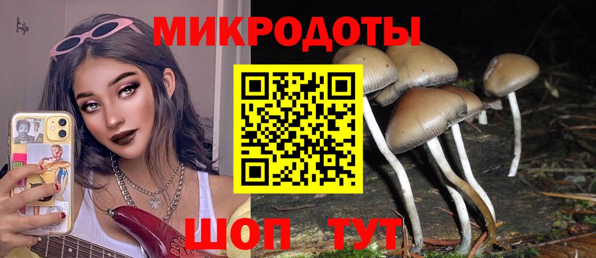 Псилоцибиновые грибы GOLDEN TEACHER Домодедово