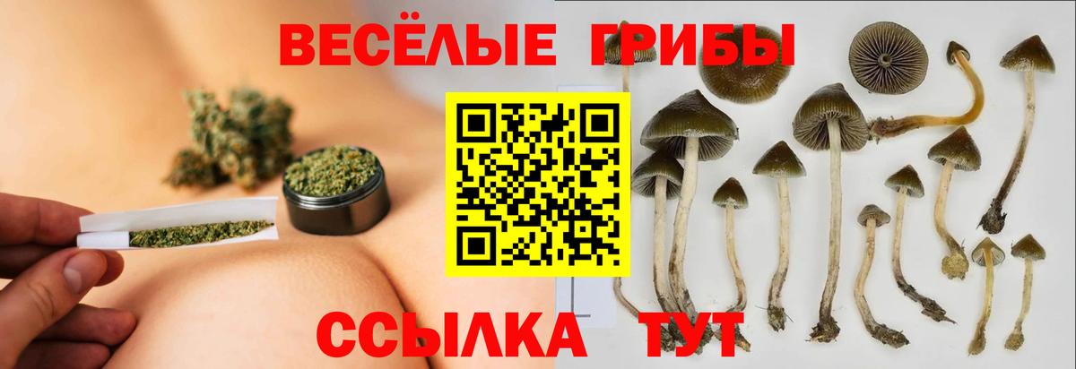 Псилоцибиновые грибы MAGIC MUSHROOMS  Вход с VPN  Домодедово 